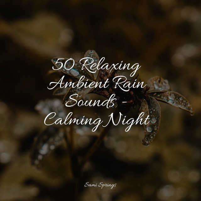 50 Relaxing Ambient Rain Sounds - Calming Night - Album by Sleep Waves ...