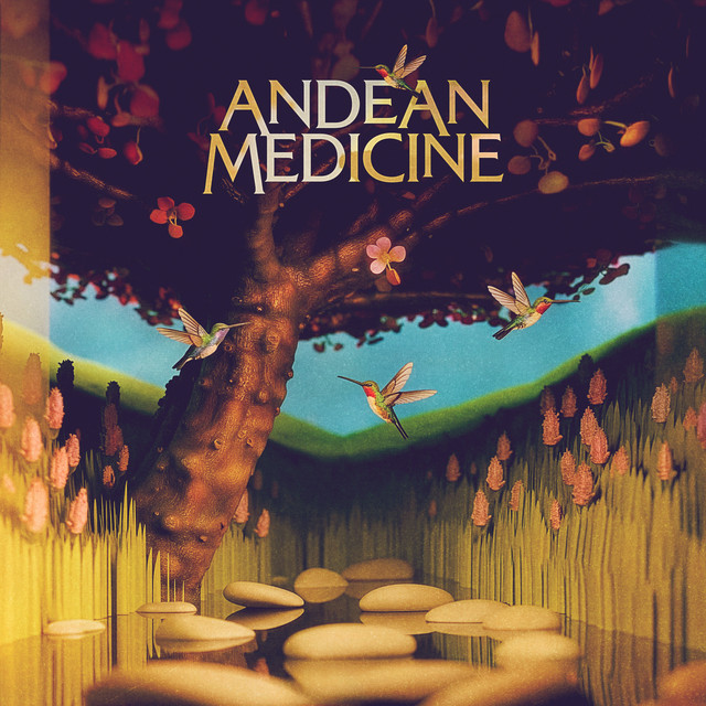 Andean Medicine cover