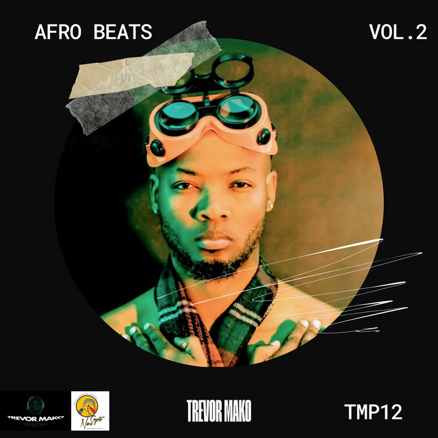 Afro Beats Vol. 2 cover art