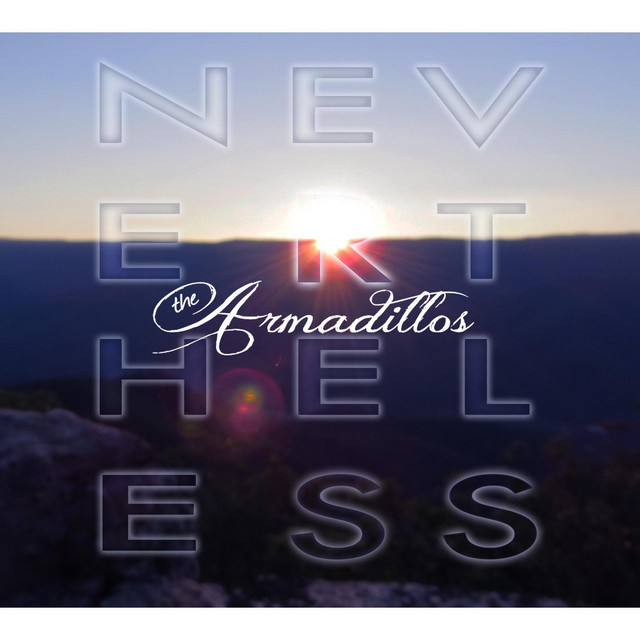 Never the Less cover