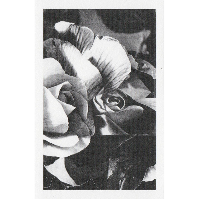 Deaf Love cover art