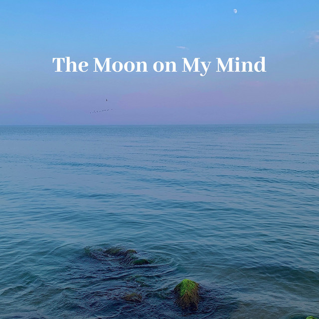 The Moon on My Mind cover art