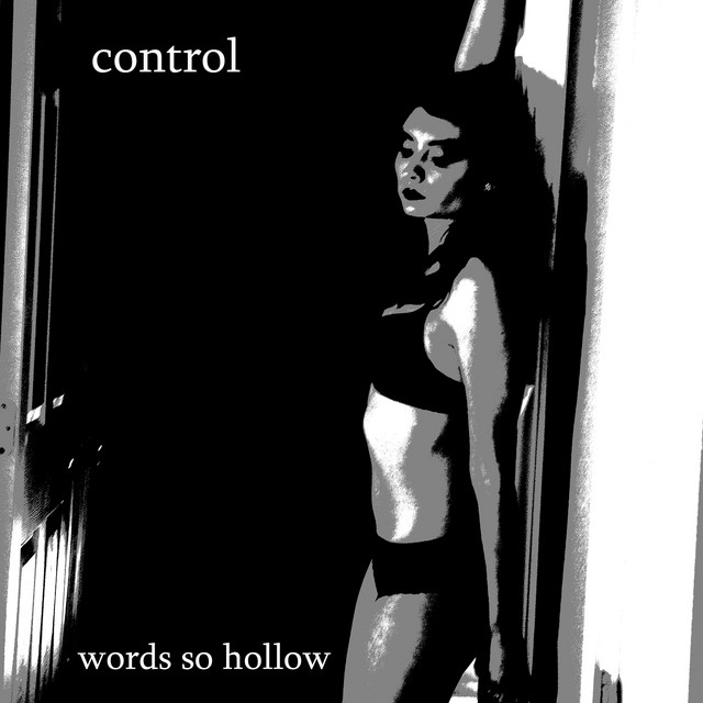 Words so Hollow cover art