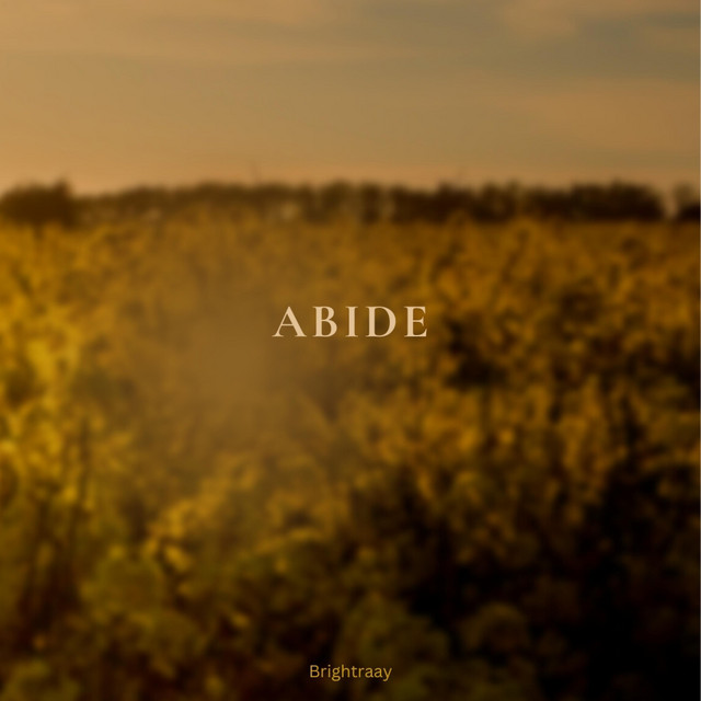 Abide - Radio Edit