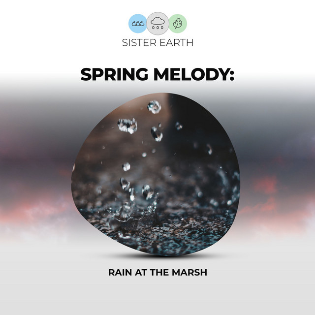 Spring Melody: Rain at the Marsh - EP by Sound of Rain | Spotify