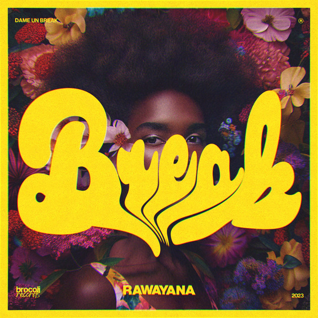 Dame Un Break cover art