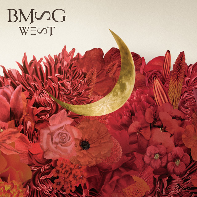 The Moon in the WEST cover art