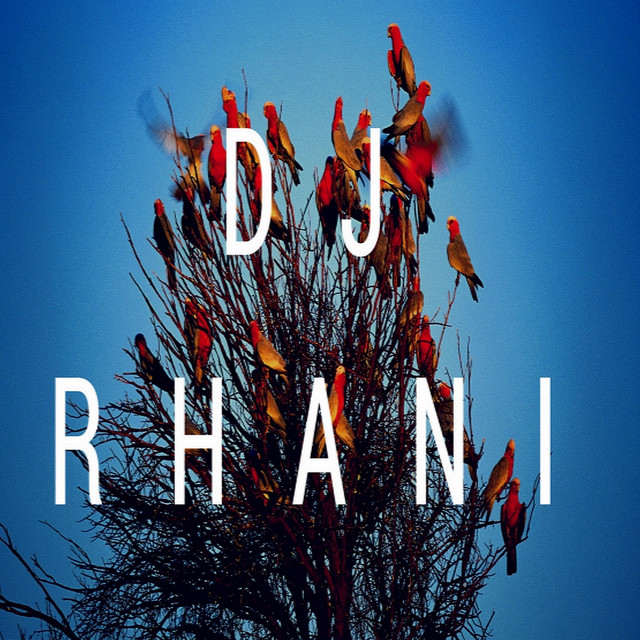 DJ Rhani - EP by DJ Rhani / Mehanes | Spotify