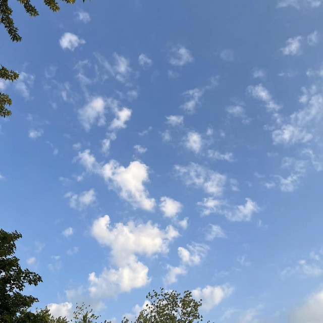 Somewhere In The Sky