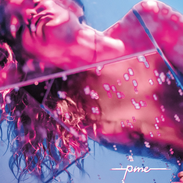 PINE cover art