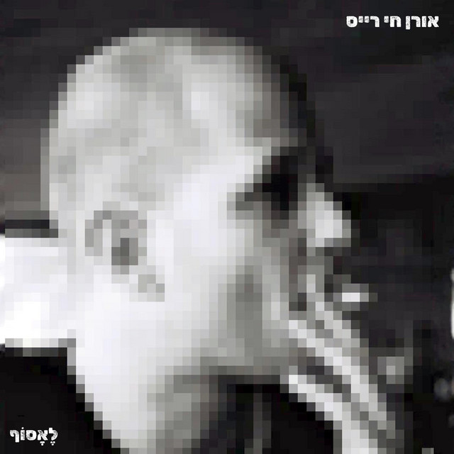 אורן חי רייס