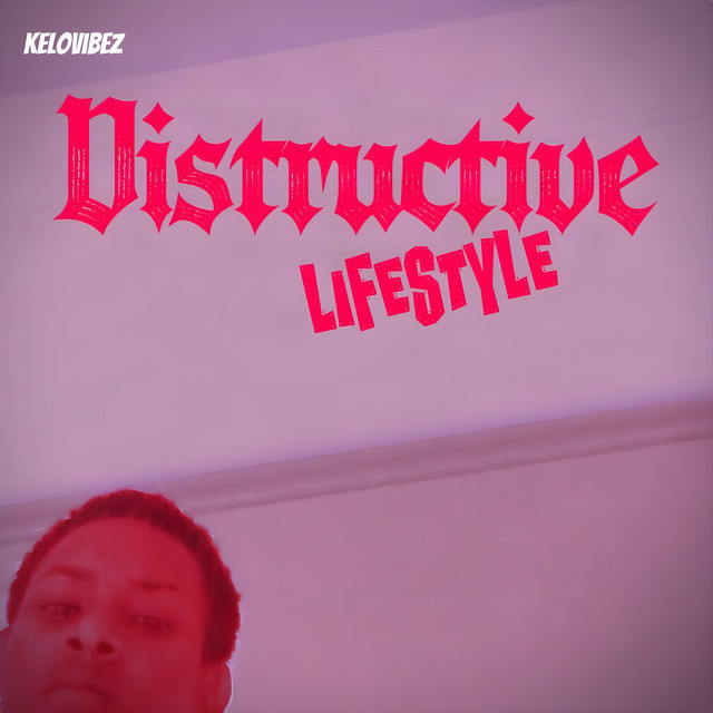 Distructive Lifestyle cover art