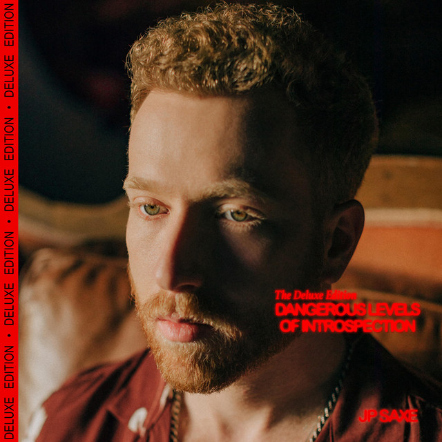 Dangerous Levels of Introspection (Deluxe Edition) cover art