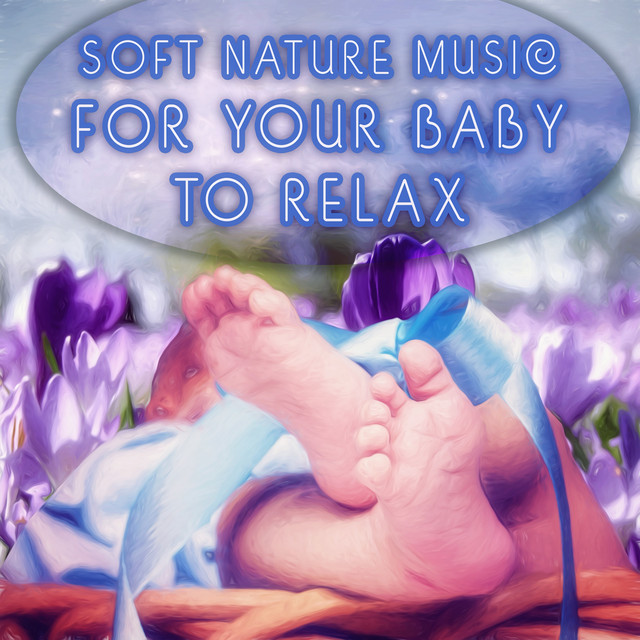 Baby Echoes After Dark cover art