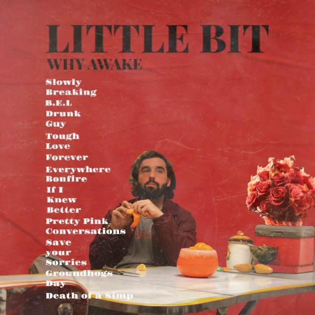 Little Bit cover art