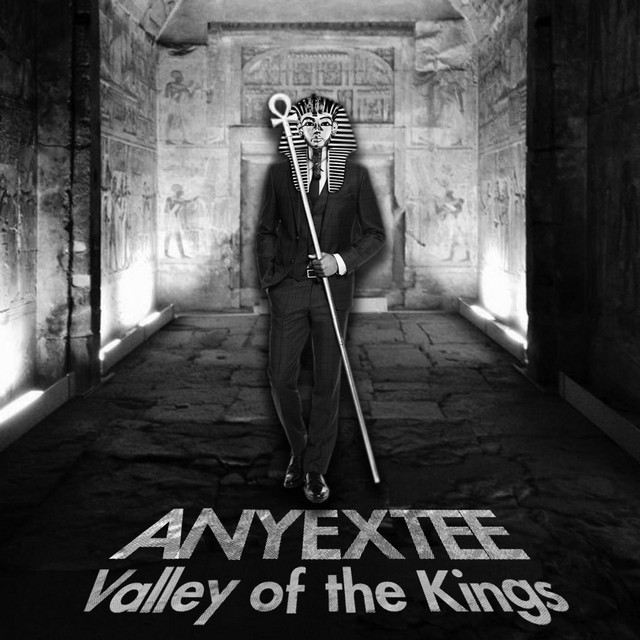anyextee net worth