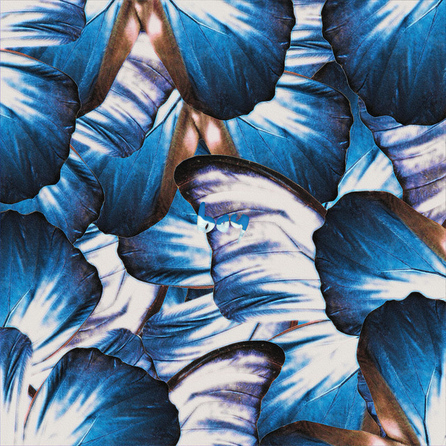 boy cover art