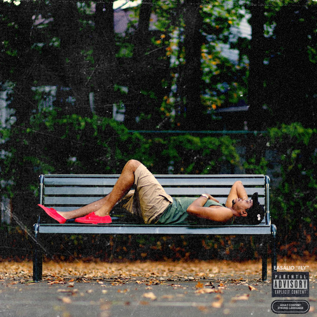 Moon cover art
