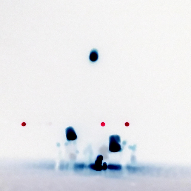 Us cover art