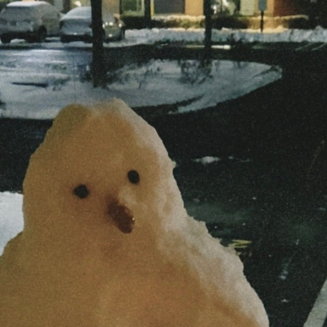 Snowed in cover art