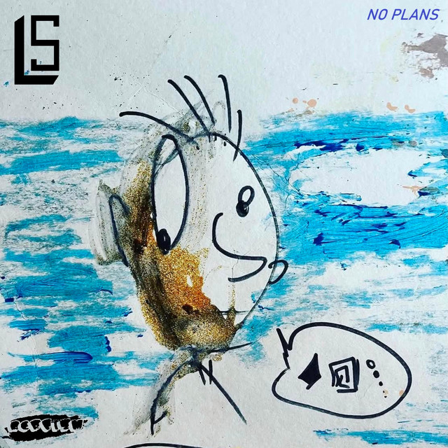 NO PLANS