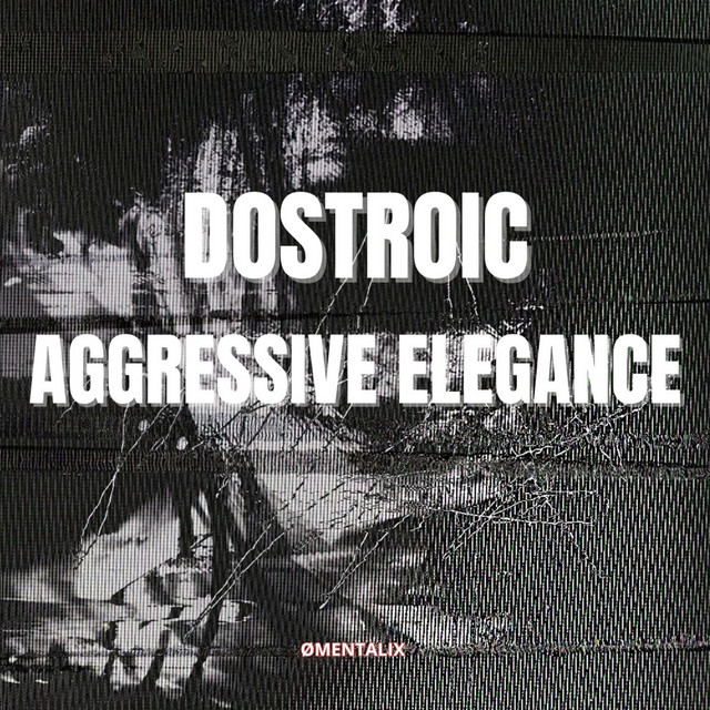 AGGRESSIVE ELEGANCE cover art