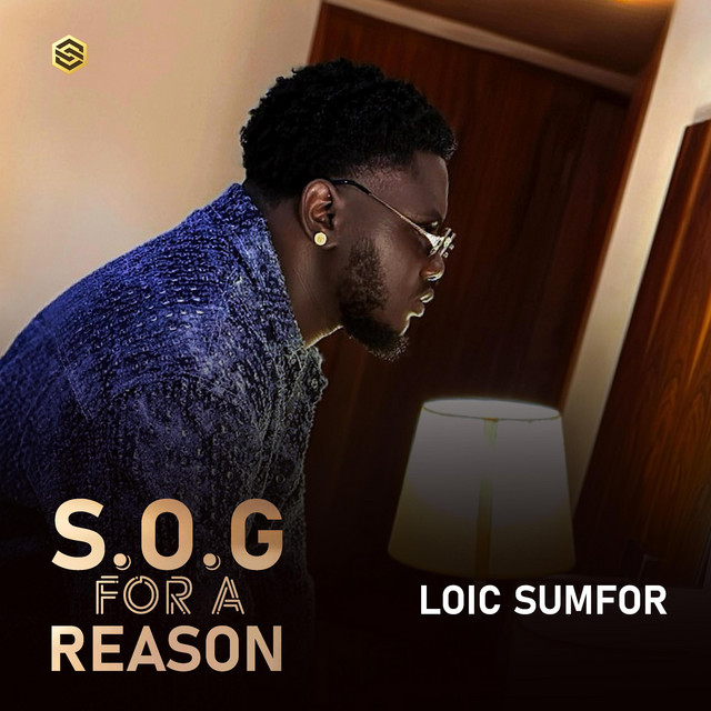 S.O.G FOR A REASON cover art
