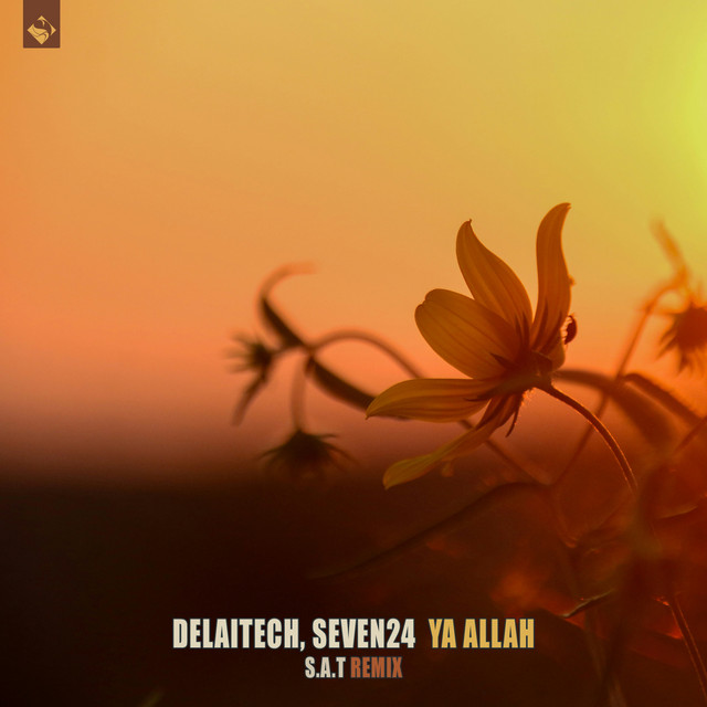 Ya Allah (S.A.T Remix) album image