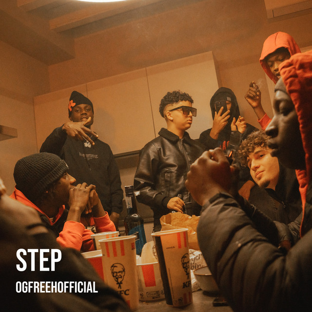 Step cover art