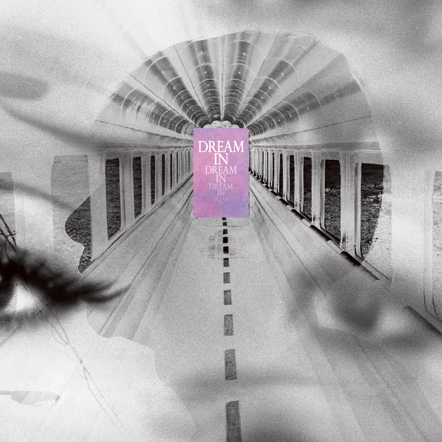 夢中夢 cover art