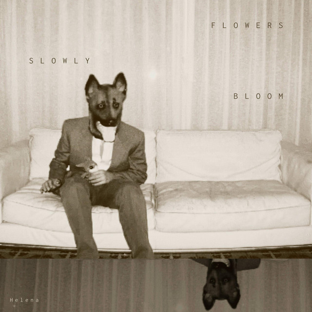 Slowly Flowers Bloom cover art