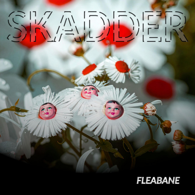 Skadder
