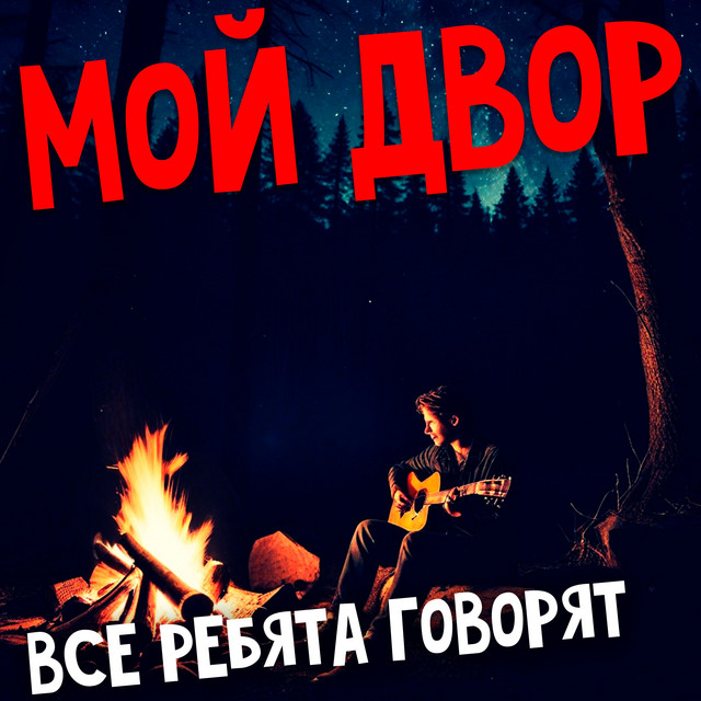Мой двор