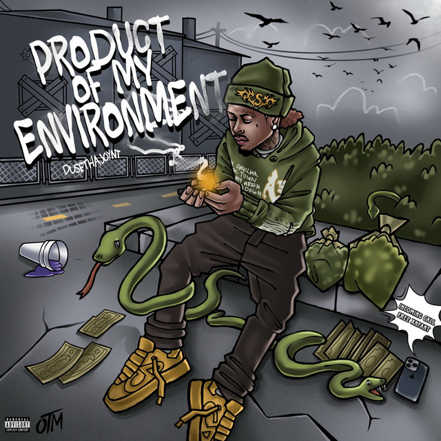 Product of My Environment cover art