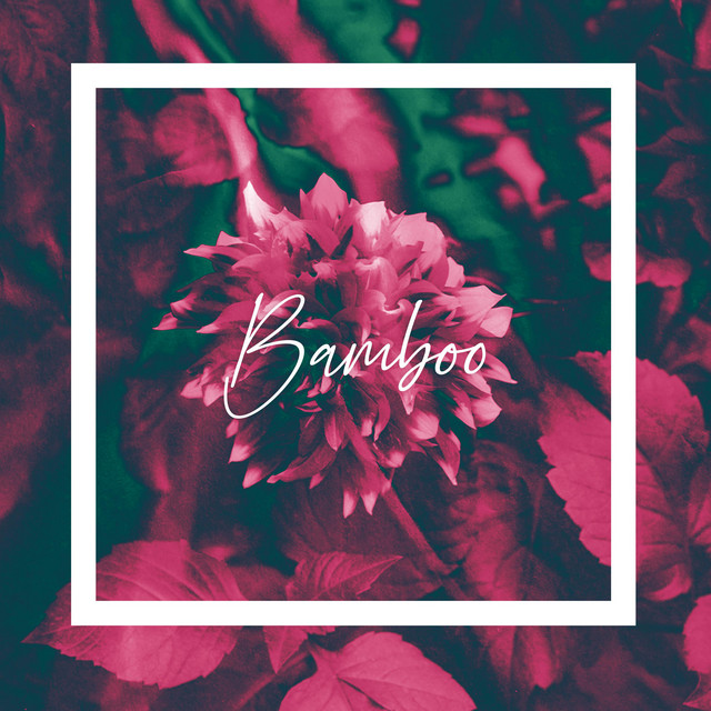 Bamboo