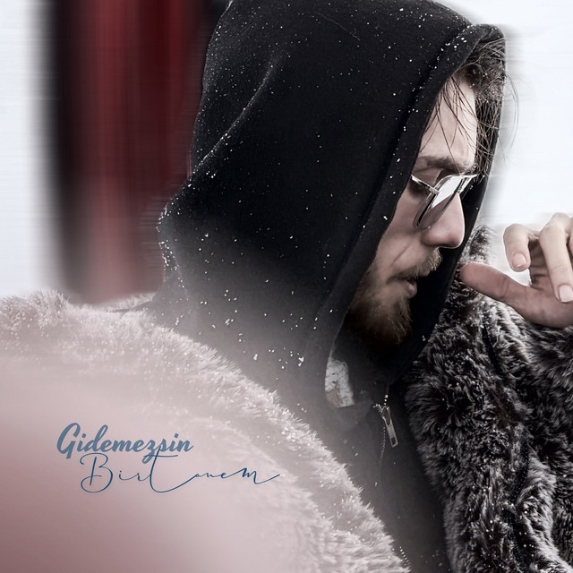 Gidemezsin Birtanem cover art