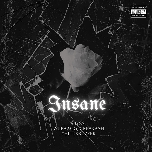 Insane cover art