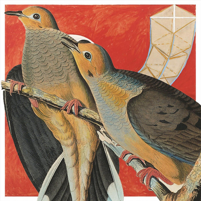 Pollen cover art