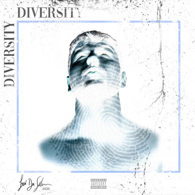 Diversity cover art
