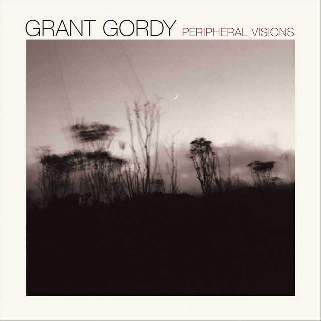 Peripheral Visions cover