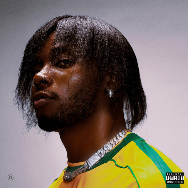 18+ cover art