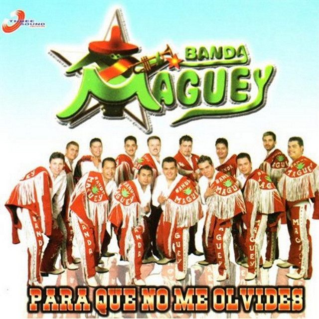 Para Que No Me Olvides cover art