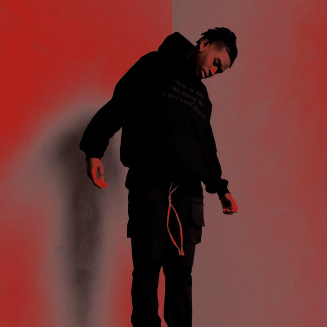 Dollar Signs - REMIX
