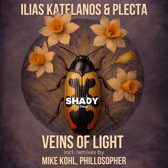 Veins of Light album art