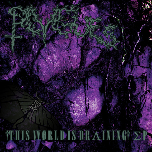 This World Is Draining cover