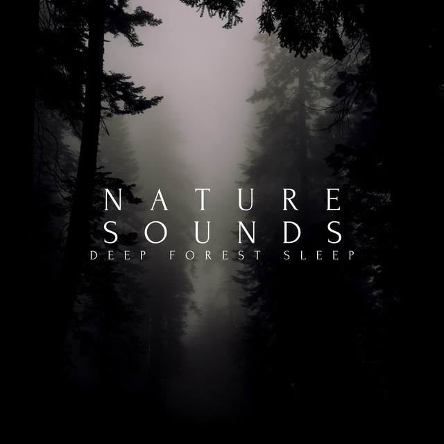 Nature Sounds Deep Forest Sleep - EP by Natural Sounds Selections | Spotify