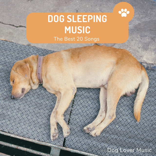 Dog Sleeping Music cover