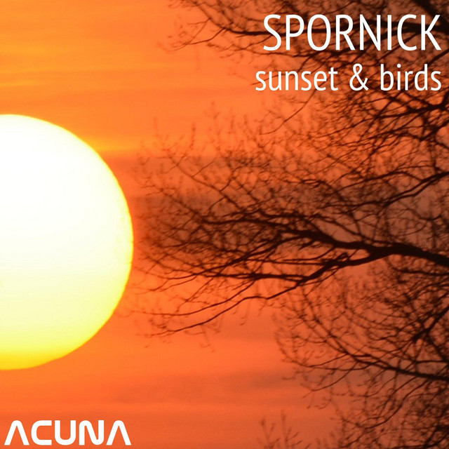 Sunset / Birds cover art
