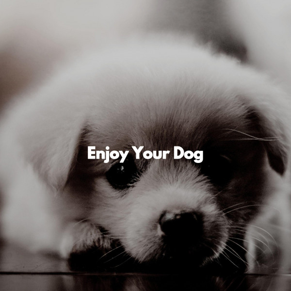 Enjoy Your Dog cover art