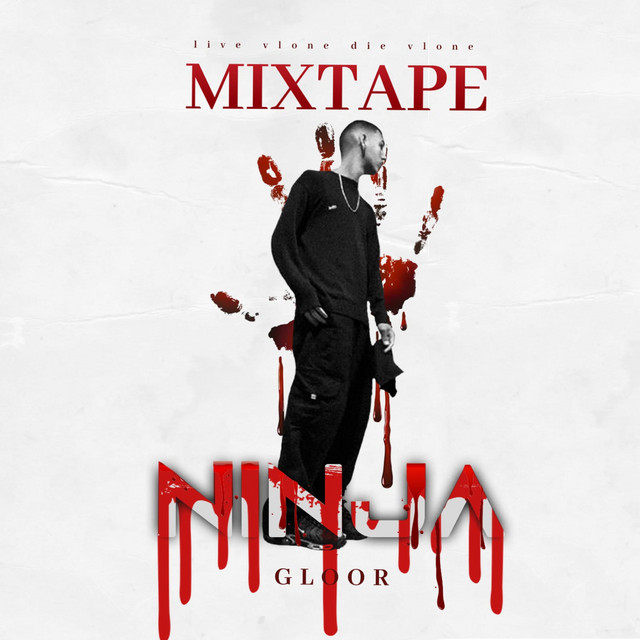 Ninja cover art